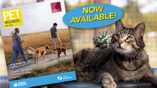 Pet Wellness Guide 2025