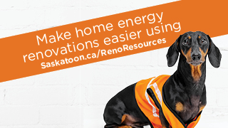 A picture of a dog in a safety vest with HELP information