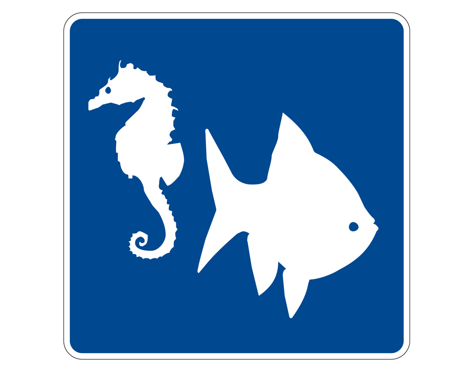 White illustration of a seahorse and a aquarium fish
