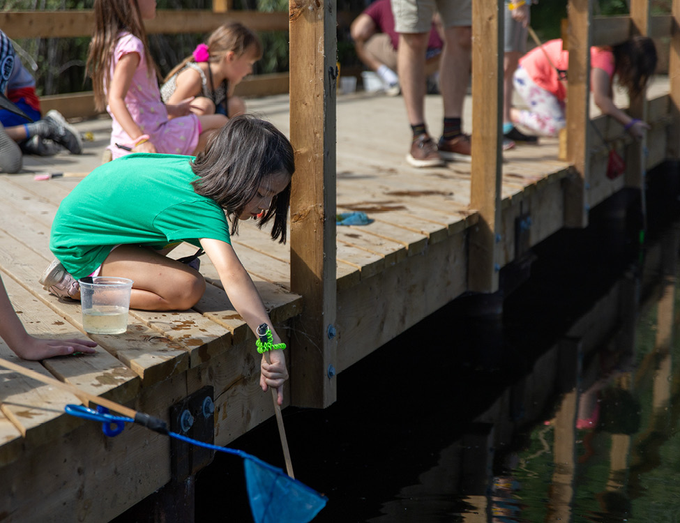 accessible pier