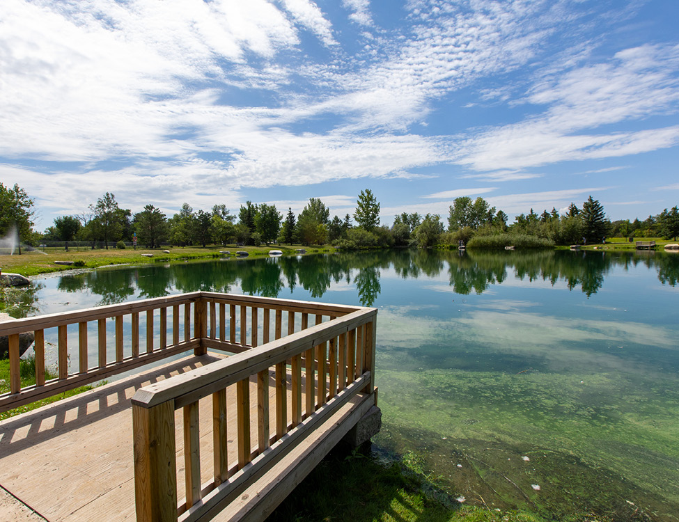 fishing pond