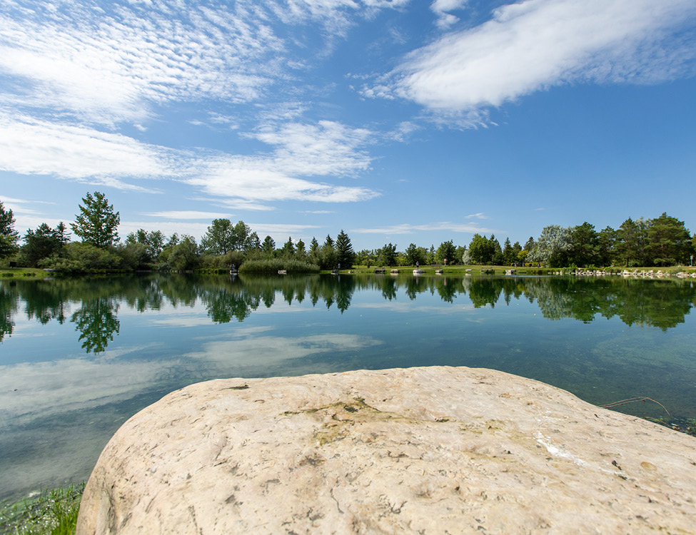 fishing pond