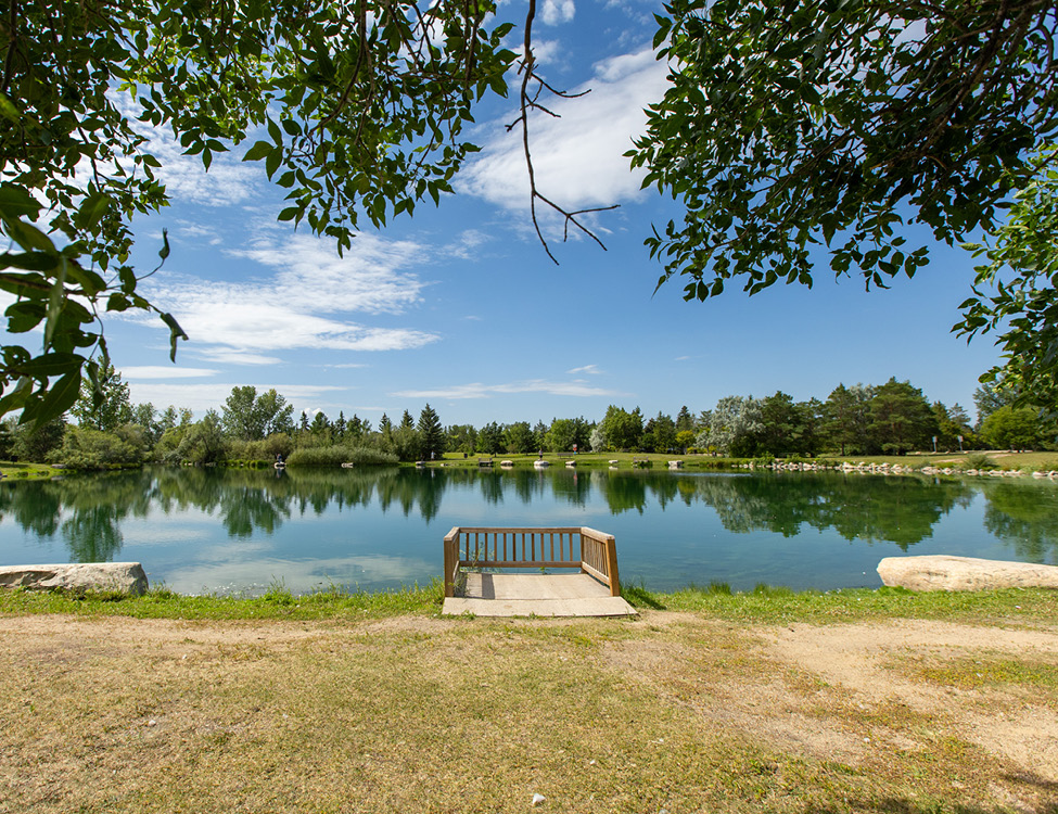 fishing pond