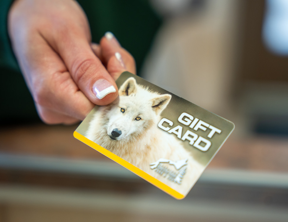 zoo gift card