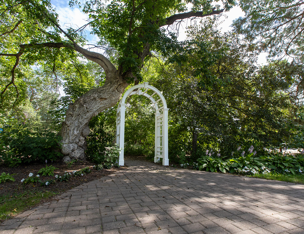 wedding garden