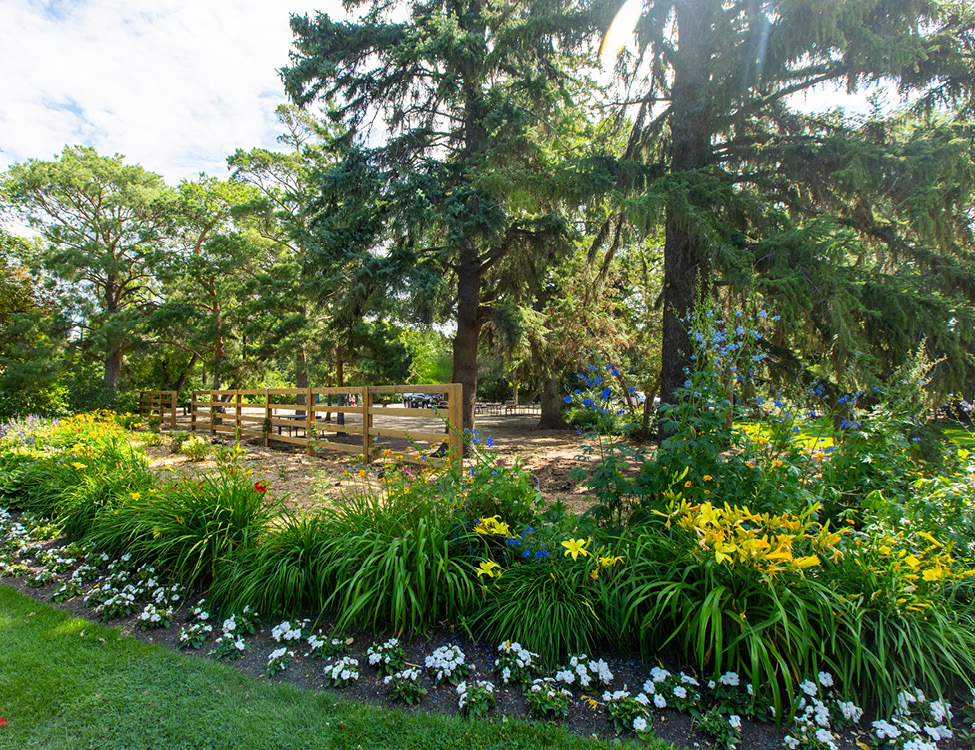 wedding garden