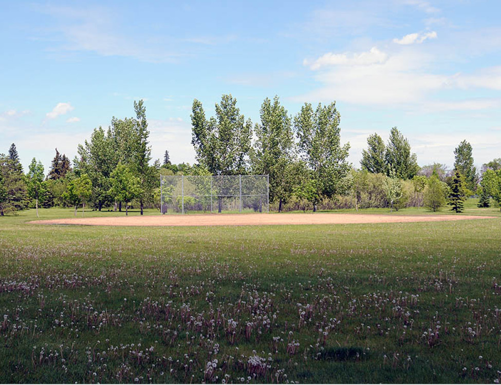 cricket pitch