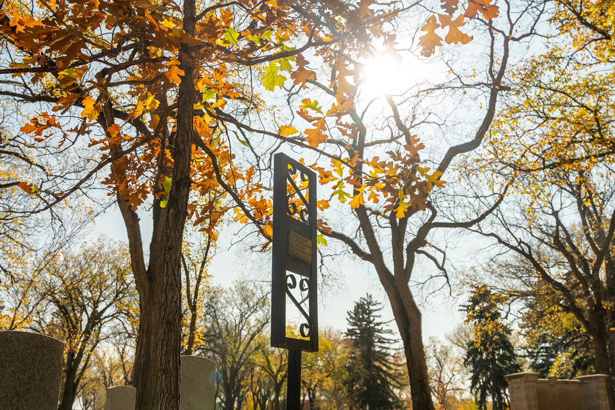 Memorial Tree Stand