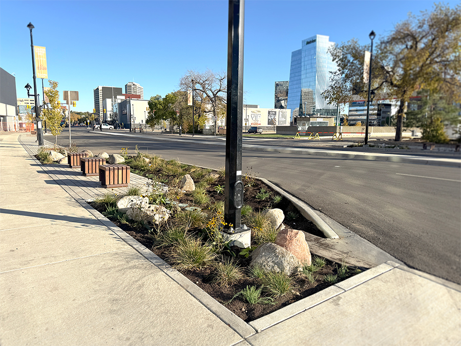 20th Street streetscape with new trees, bio retention planting area with seating, and sidewalks.