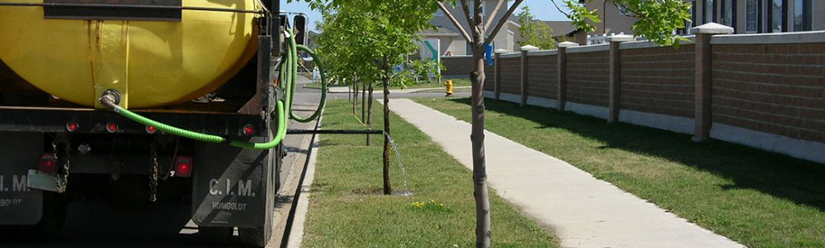 Boulevard tree watering